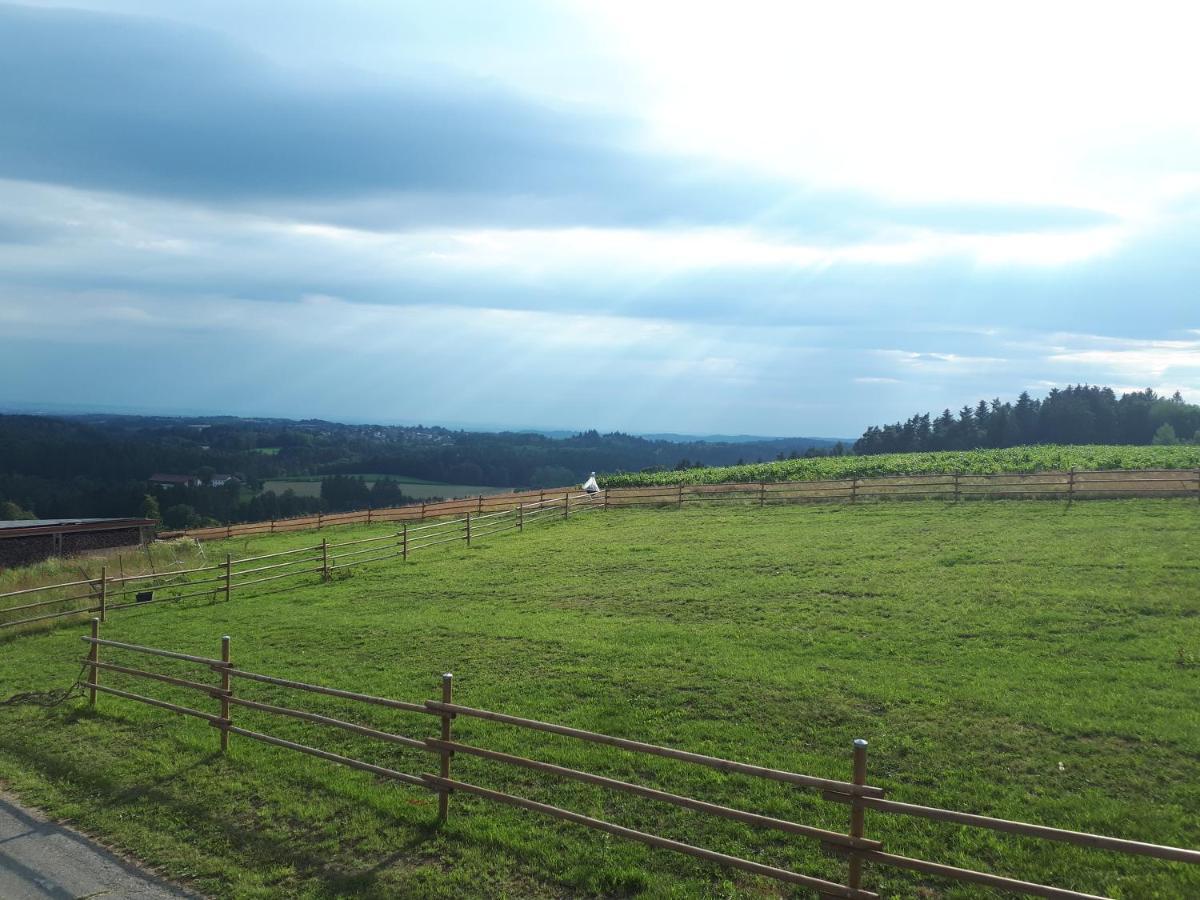 Ferienwohnung Am Dachsberg, Bayerischer Wald Haselbach Extérieur photo