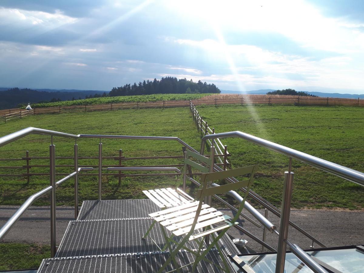 Ferienwohnung Am Dachsberg, Bayerischer Wald Haselbach Extérieur photo